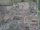 Maghull birds eye