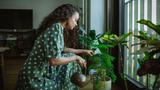 Watering plants